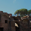 475-italy-rome-ruins-palatine-hill..jpg