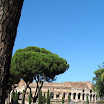 479-italy-rome-ruins-palatine-hill..jpg