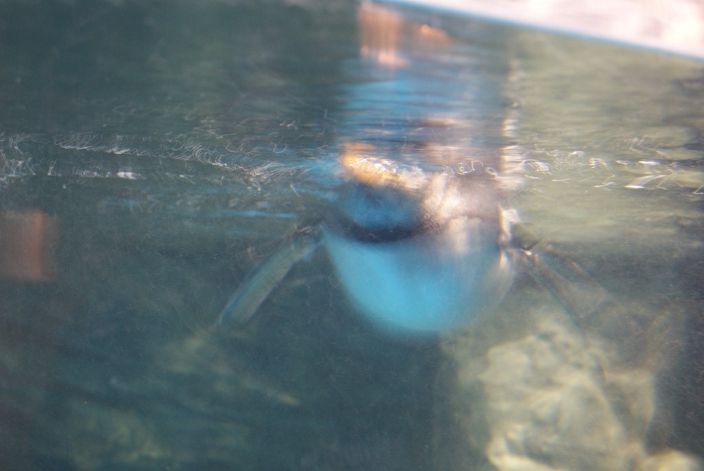 [Aquarium April 2011 020[3].jpg]