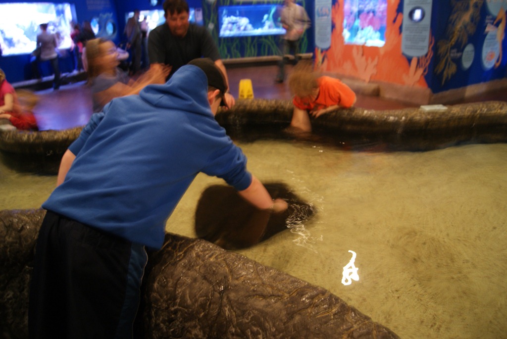 [Aquarium April 2011 030[3].jpg]