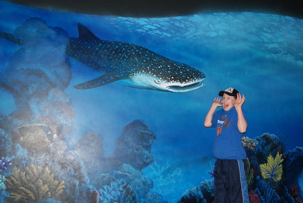 [Aquarium April 2011 033[3].jpg]