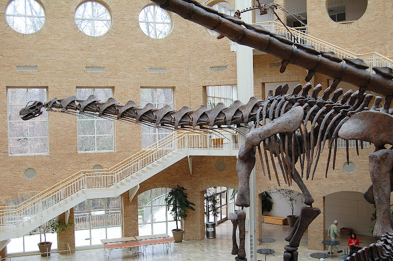 I was thrilled that the special exhibit was dinosaurs. 