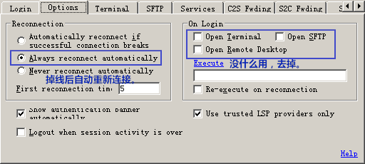bitvise_tunnelier_setting_02_Options