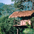 Tree Tops Jungle Lodge - Main Photo, Tree Tops Jungle Lodge - Come with us on a journey back to basics, living with nature. We believe in basic comfort and offer a nature retreat extremely well integrated in our wonderful surroundings; the virgin forest, the rocky hills, and the wildlife. Via the dirt track to the lodge you leave the world behind and end up in elephant country. This jungle, the Weliara forest, is hidden between Yala National Park and the Arahat Kanda mountains – a 15 km long chain of steep rocky hills, separating civilization from wilderness. Situated in uninhabited jungle bordering Sri Lanka's largest protected area, the 1300 square kilometer Yala National Park, we live amidst the whole range of animals found in the neighboring sanctuary. Most prominent among our wild visitors are the elephants. Nights in the jungle is an experience of darkness and strange sounds. When elephants pass by they are usually... Found out more at Whole Travel, http://www.wholetravel.com/supplier/tree-tops-jungle-lodge., Sri Lanka Album