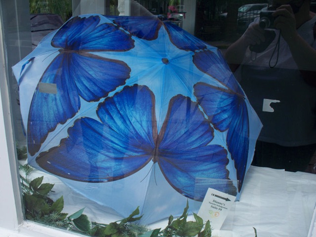 [Butterfly umbrella[5].jpg]