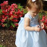 IMG_2641.jpg