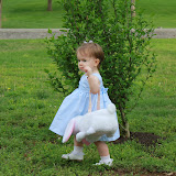 IMG_2978.jpg