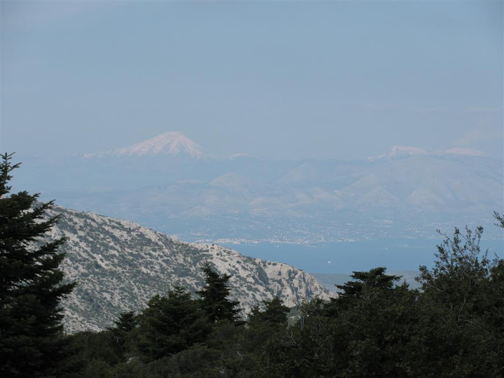 Foto de    Πάρνηθα: Μόλα - Σφενδάλη (Μαλακάσα)