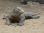  &ndash; 