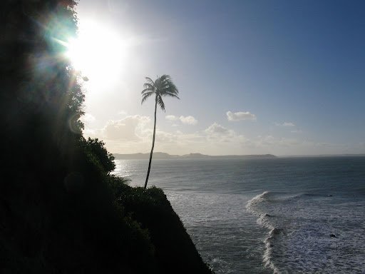 http://lh4.ggpht.com/_9N1TYzW1YLU/Rn5DWBAZOTI/AAAAAAAABBk/dtd1ujJ58Dg/Praia+Da+Pipa+005.jpg