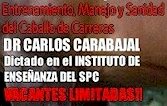 Cursos Hípicos