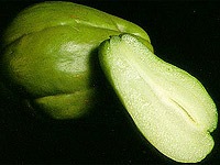[chuchu5[8].jpg]