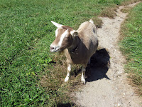 IMG_5642.JPG