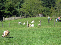 IMG_5646.JPG