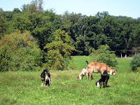 IMG_5650.JPG