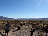 IMG_5876.JPG