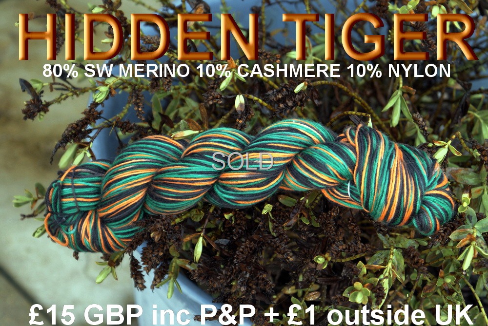 [Hidden Tiger[2].jpg]