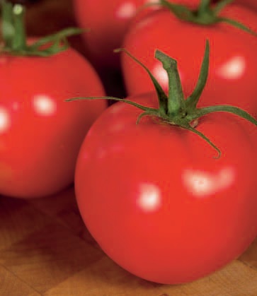 Tomate