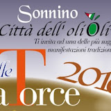 Sonnino