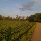 IMG_0047.jpg