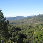 IMG_1415.jpg