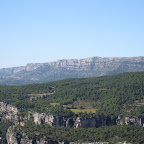 IMG_1424.jpg