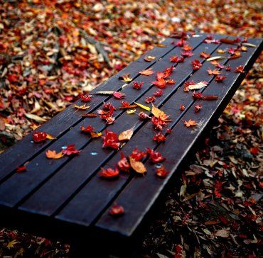 Autumn Leaves
