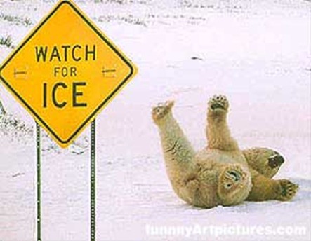 funny-animals02s funny-animals02s