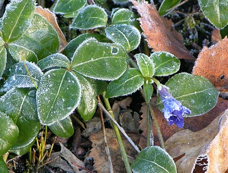 DSCN0543 DSCN0543