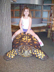 Chloe riding the turtle