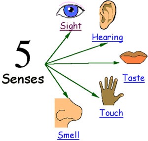 [5-senses[3].jpg]