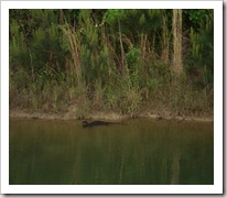 Picture 036