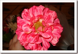 DSC02040