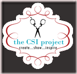thecsiproject.com-logo-150