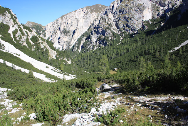 IMG_7362.JPG