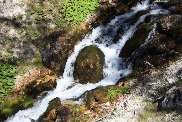 IMG_7388.JPG
