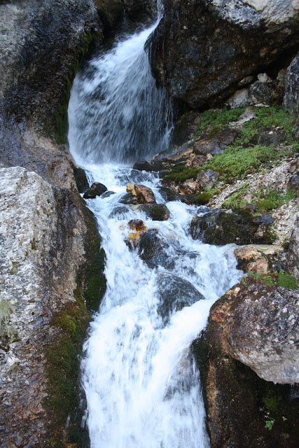 IMG_7391.JPG
