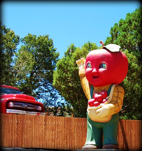 [appleboy[6].jpg]