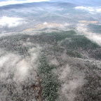 Ice Storm Damage survey: Leg One, Little Rock to Fayetteville