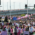 Race For the Cure; Part 2