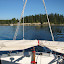 Saying goodbye to McMicken Island Saying goodbye to McMicken Island