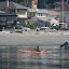 Kayak at Three Tree Point Kayak at Three Tree Point