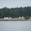 Approaching Reid Harbor