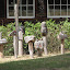 Carvings at Stuart Island school