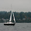Braveheart sails into Port Madison Braveheart sails into Port Madison