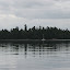 Sailboat moored at Eagle Island