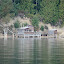 No lawns to mow, Harstine Island No lawns to mow, Harstine Island