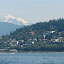 Welcome back to Bellingham