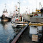 Many tugs are getting ready for the big race