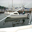 P15 owners have more fun per foot of boat